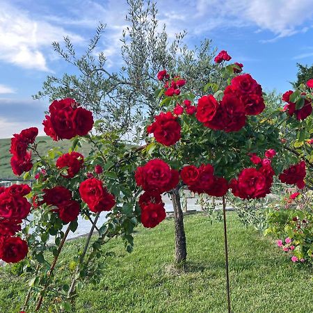 Masso Alle Rose Di Santarsiero Serena モンタイオーネ エクステリア 写真