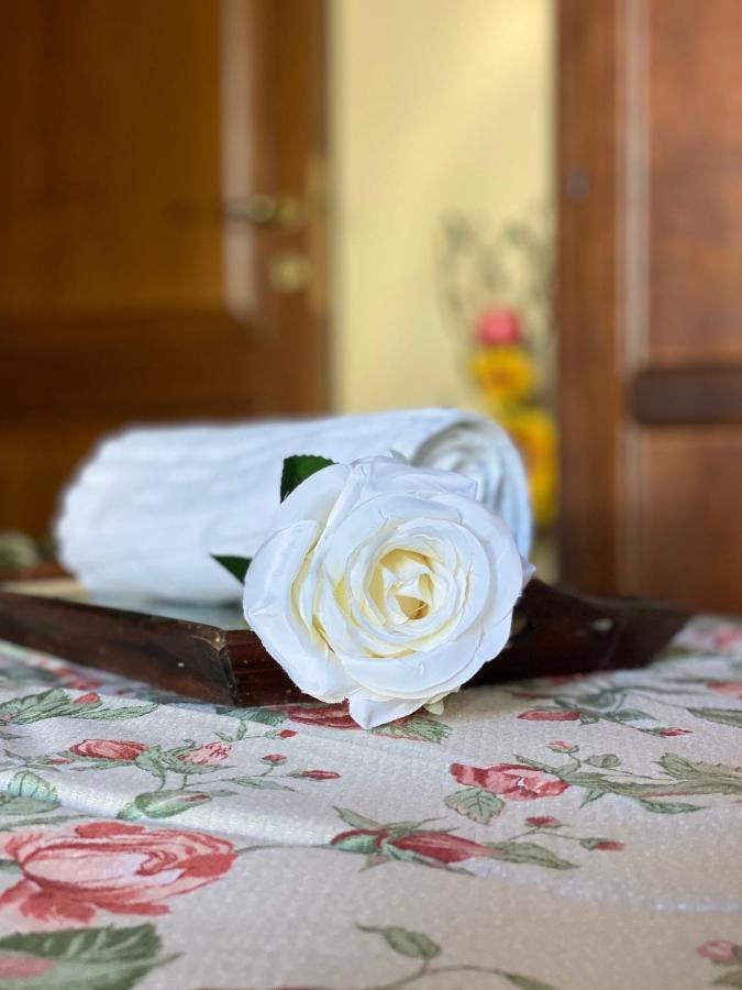 Masso Alle Rose Di Santarsiero Serena モンタイオーネ エクステリア 写真